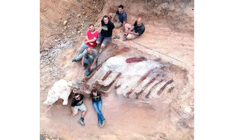 Largest dinosaur skeleton in Europe might have been found in Portugal