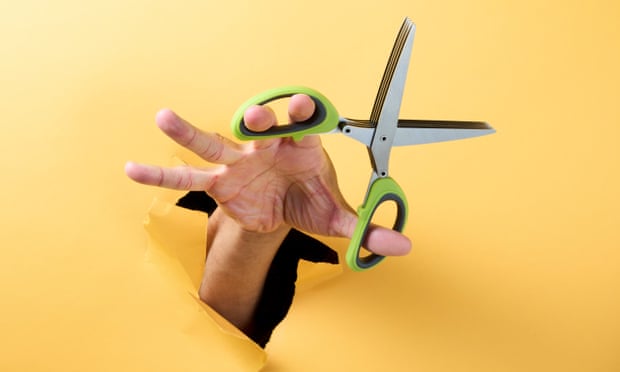 Herb scissors