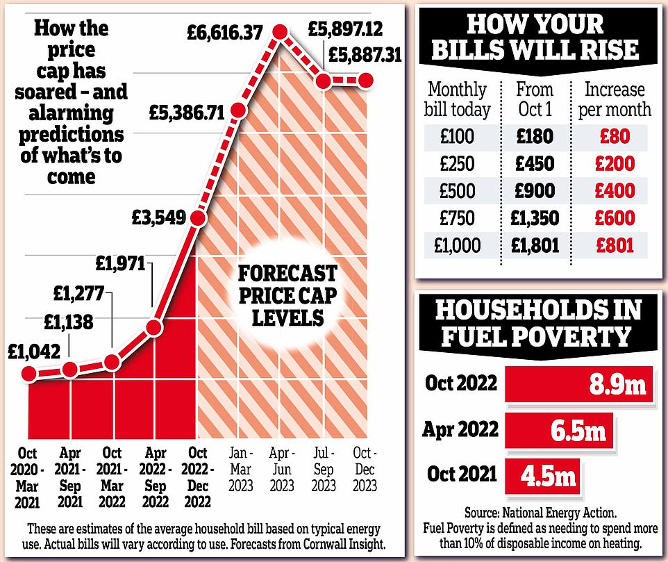 The price cap is predicted to rise even higher, meaning the appliances will end up using even more energy