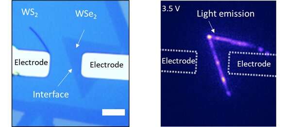 Weaving atomically thin seams of light with in-plane heterostructures