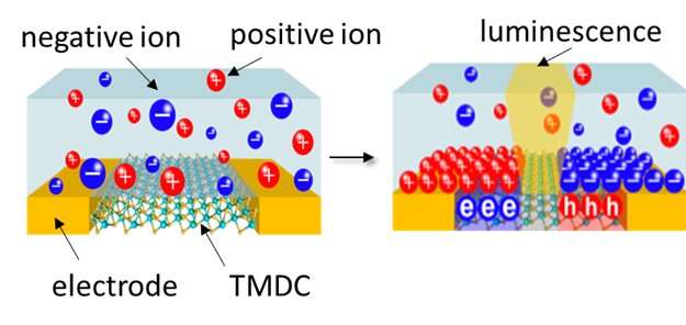 Weaving atomically thin seams of light with in-plane heterostructures