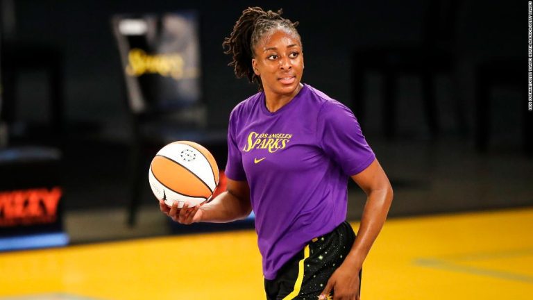 WNBA union president Nneka Ogwumike calls for charter flights between games