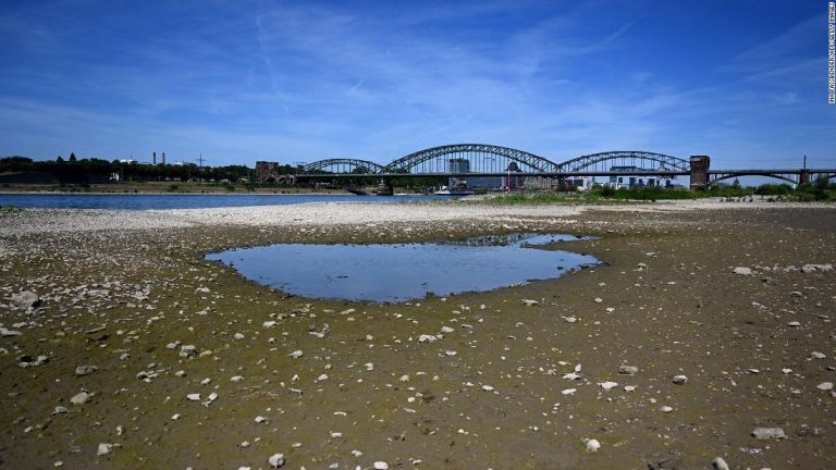 Drought conditions hit 60% of European Union and UK land