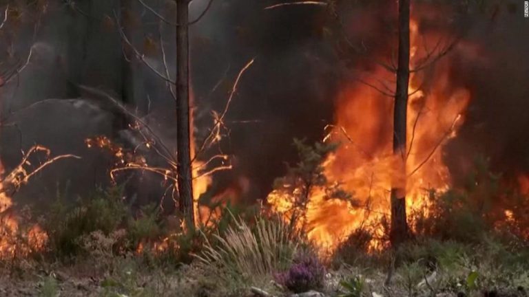 Wildfire burns more than 12K football fields in one night