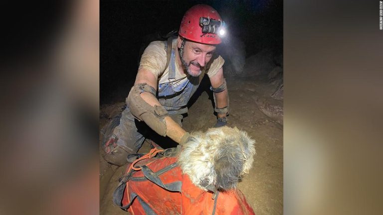 Missouri cavers found a dog who had been missing for two months