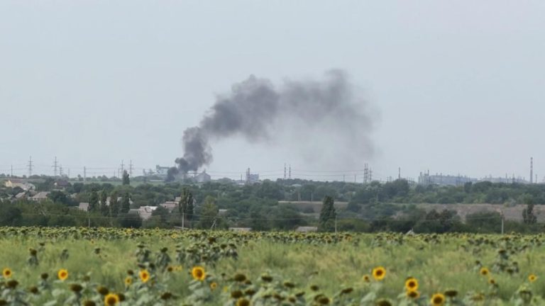 '70-90%' chance of disaster at Ukrainian power plant if shelling continues, ex-worker says