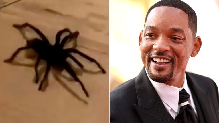 'We're selling the house': Tarantula sends Will Smith scurrying