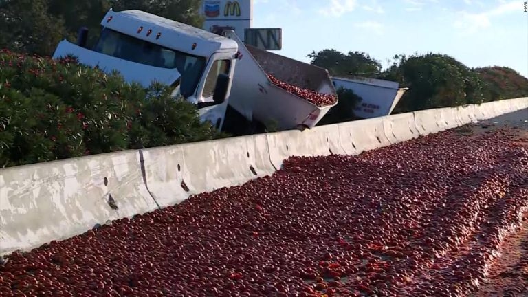 Thousands of tomatoes spill onto highway after crash