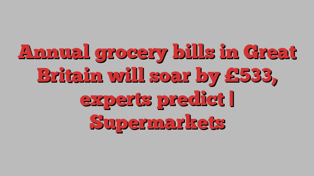 Annual grocery bills in Great Britain will soar by £533, experts predict | Supermarkets