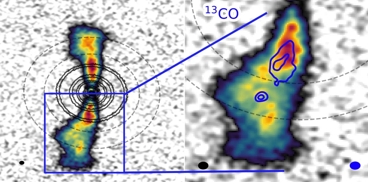 Circumplanetary Disk Star AS 209