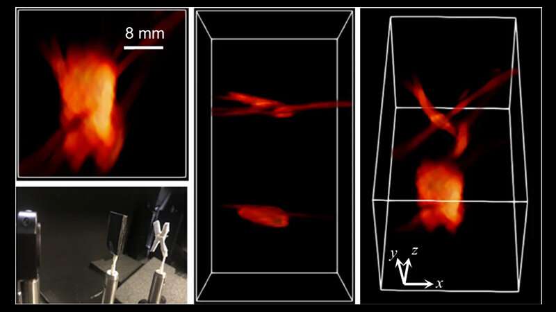 Bug eyes and bat sonar: UCLA bioengineers turn to animal kingdom for creation of bionic super 3D cameras