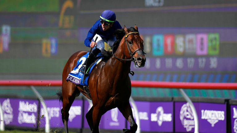 Irad Ortiz Jr and Golden Pal winning the Breeders&#39; Cup Turf Sprint