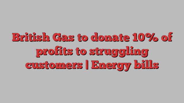 British Gas to donate 10% of profits to struggling customers | Energy bills