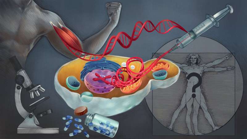 Baker’s yeast with human muscle genes