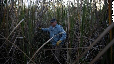 Thomas Aycock explores the Everglades as he hunts Burmese pythons in 2020&#39;s challenge.