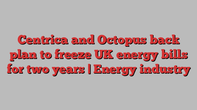 Centrica and Octopus back plan to freeze UK energy bills for two years | Energy industry