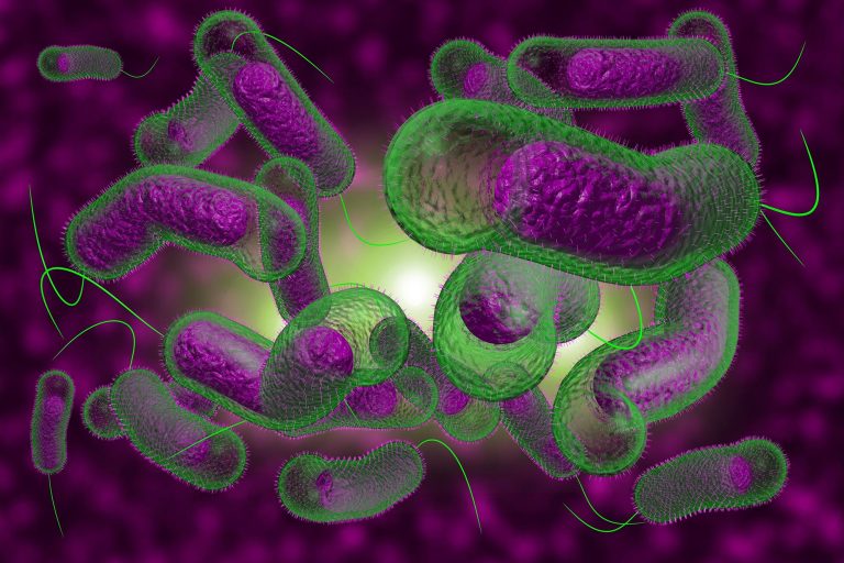 Why Did a Highly Infectious Cholera Variant – Expected To Cause the 8th Cholera Pandemic – Mysteriously Die Out?