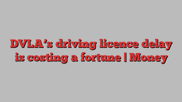 DVLA’s driving licence delay is costing a fortune | Money