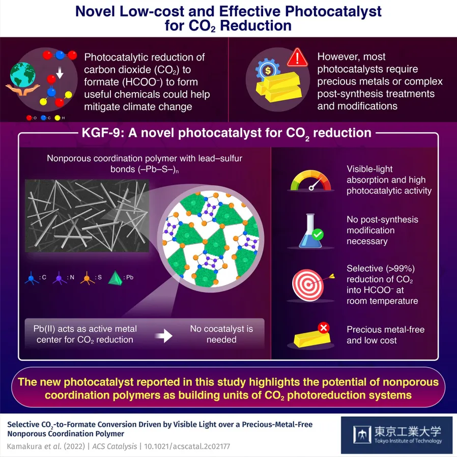 Quantum Sensor Images Cardiac Currents at Millimeter Resolution