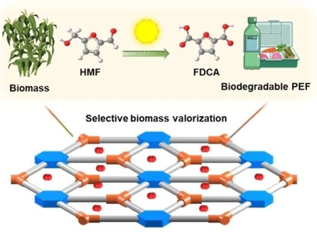 Economical PEF Production: Efficient titanium-based catalyst used to produce PEF, biobased alternative to PET