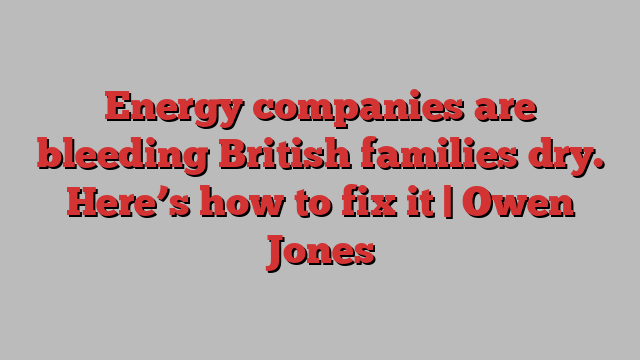 Energy companies are bleeding British families dry. Here’s how to fix it | Owen Jones