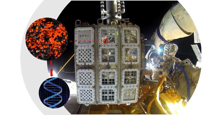 Exposed! International Space Station tests organisms, materials in space