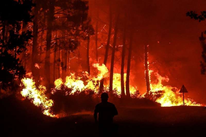 Fires in France in 2022 have ravaged an area three times the annual average over the past 10 years