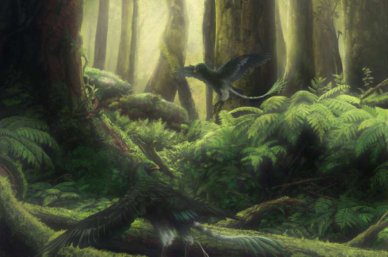 The early bird gets the fruit: Fossil provides earliest evidence of fruit-eating by any animal