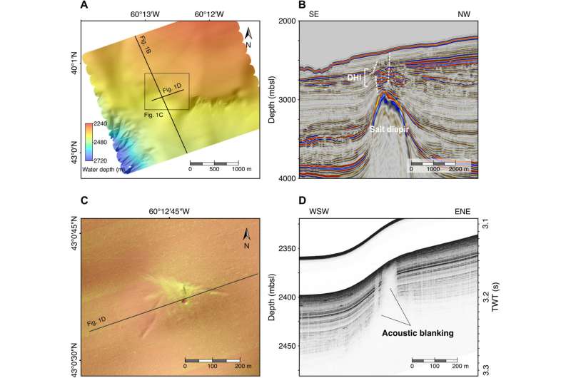 Genetic analysis of sub-seafloor ocean bacteria suggests seepage carries them great distances