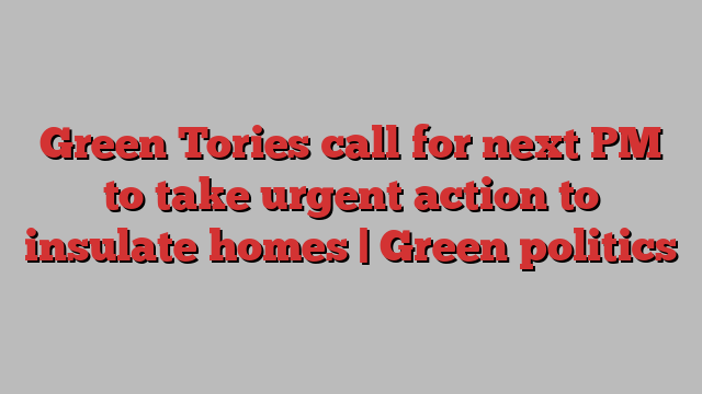 Green Tories call for next PM to take urgent action to insulate homes | Green politics