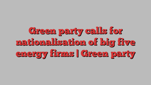 Green party calls for nationalisation of big five energy firms | Green party