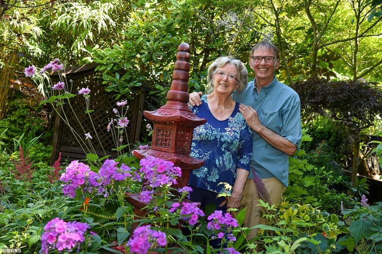 Hosepipe ban: Britain’s best garden couple share their tips on keeping your garden green in the heat