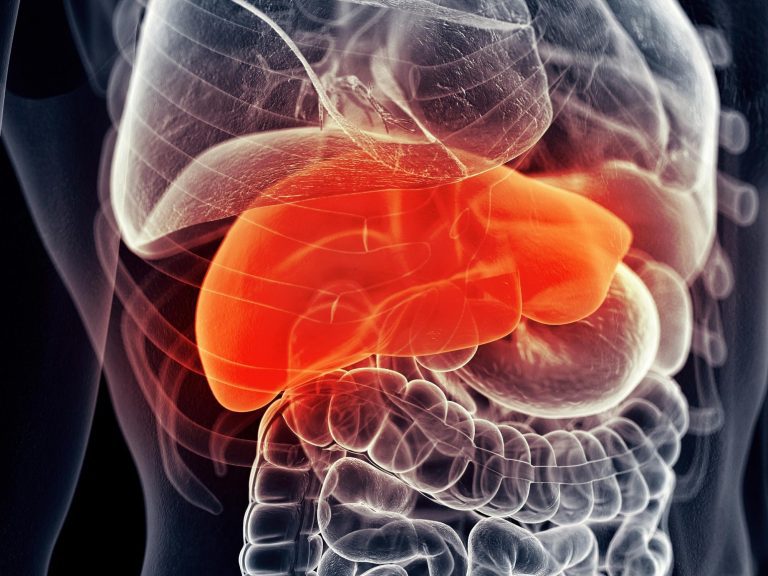 Synthetic “Forever Chemical” Found Widely in the Environment Linked to Liver Cancer