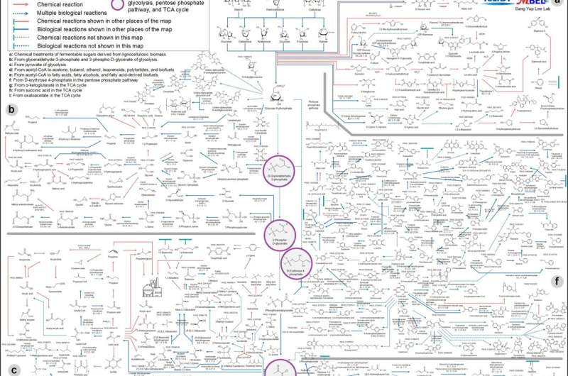 Interactive map of metabolical synthesis of chemicals​