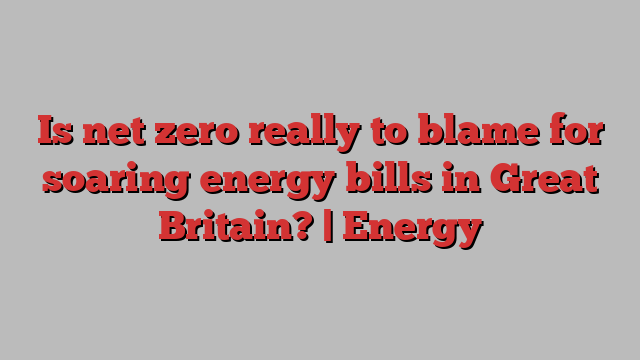 Is net zero really to blame for soaring energy bills in Great Britain? | Energy