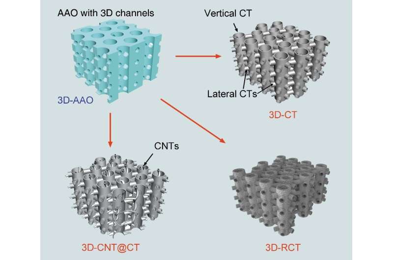 Miniaturized high-performance filter capacitor based on structurally integrated carbon tube grids