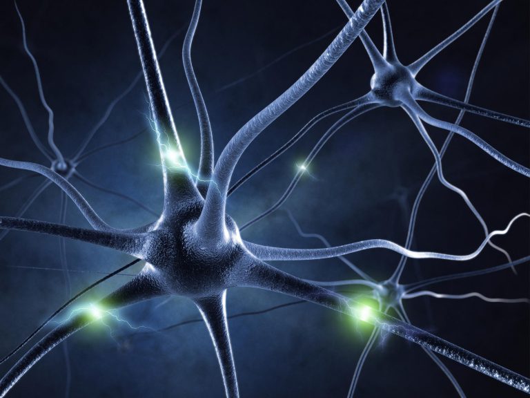 Boosting Neuron Formation To Restore Memory in Alzheimer’s Disease