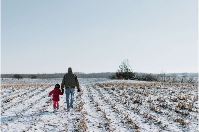 corn winter