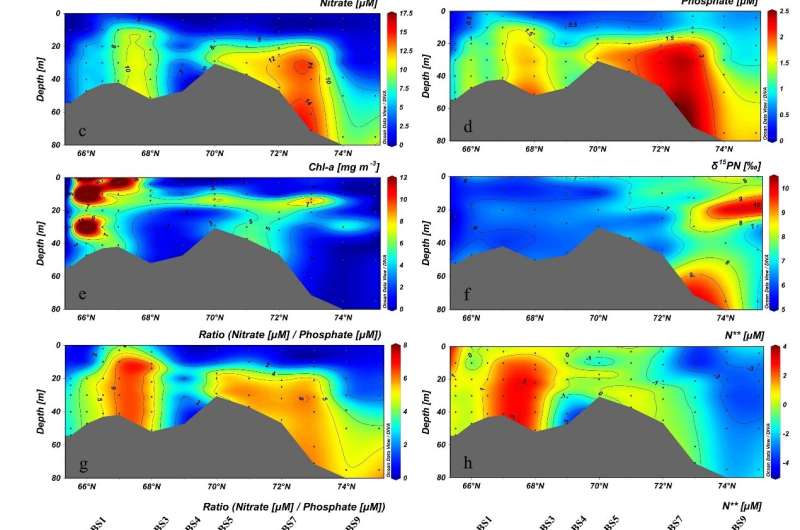 Overlooked contribution of the biological pump to the Pacific Arctic nitrogen deficit