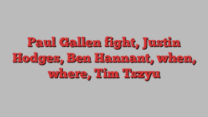 Paul Gallen fight, Justin Hodges, Ben Hannant, when, where, Tim Tszyu