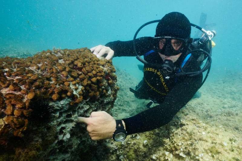 Calcareous rock is gutted by hundreds of holes chiseled by poachers to extract date mussels