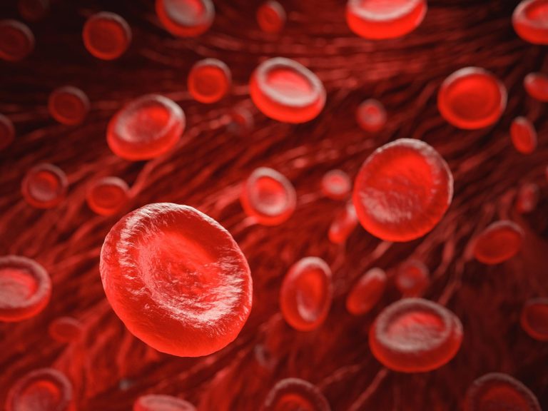 Can Infusions of “Young” Blood Increase Lifespan?