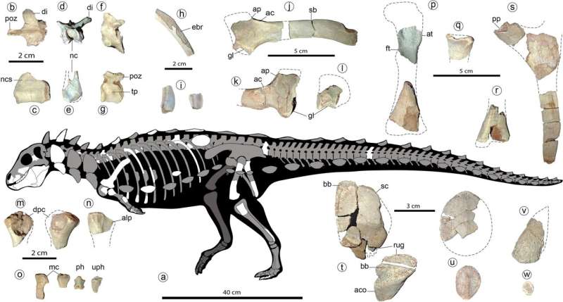 Remains of house-cat-sized dinosaur with spikes, powerful bite discovered in Argentina