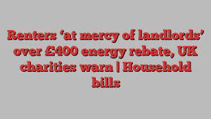 Renters ‘at mercy of landlords’ over £400 energy rebate, UK charities warn | Household bills