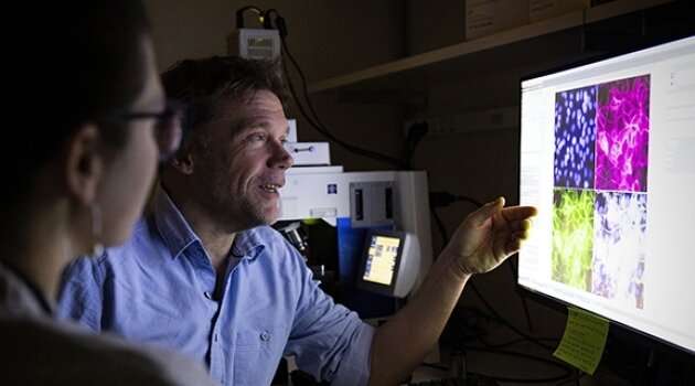 New technique for analysis of protein activity in cells