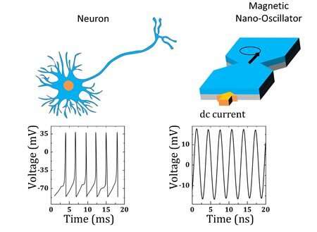 University of Illinois researcher studying materials whose traits resemble those of the human brain