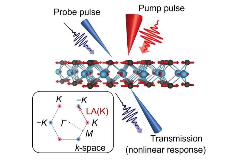 Researchers reveal origin of ultrafast mystery signals in valleytronic materials