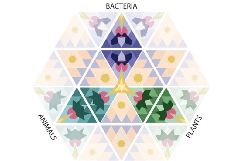 Scientists discover new antiviral defense system in bacteria