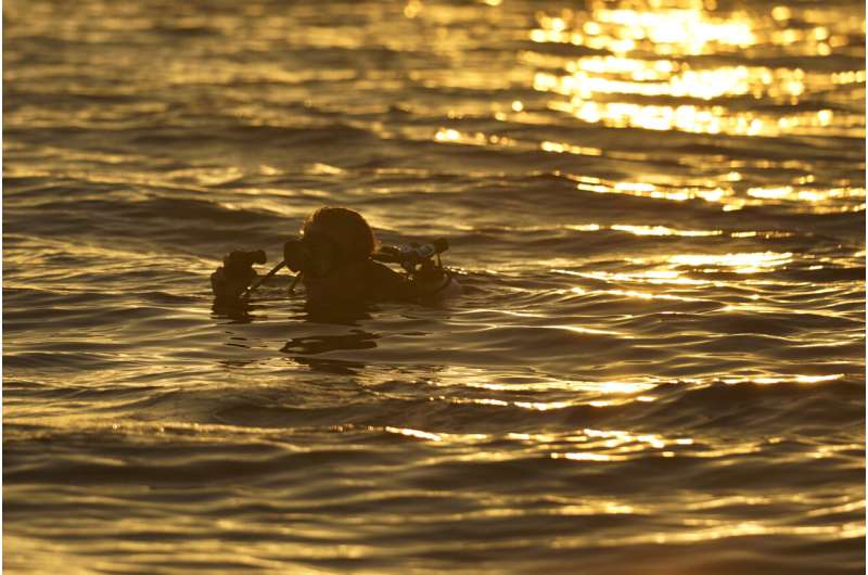 Scientists seek to develop hybrid coral reef off of Miami