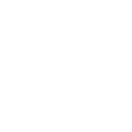 Southern Brave